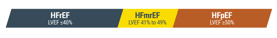 lvef percentages